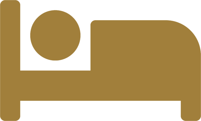 Plastische und Ästhetische Chirurgie